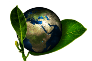a small representation of Earth between two leaves