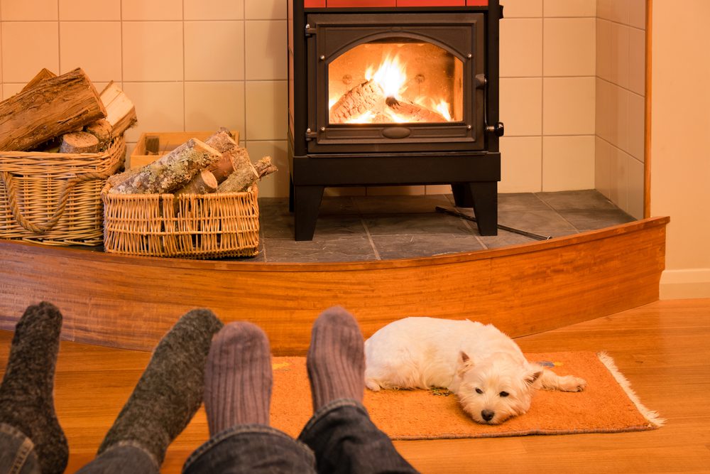 Socks and feet of a couple relaxing by fire with west highland terrier.