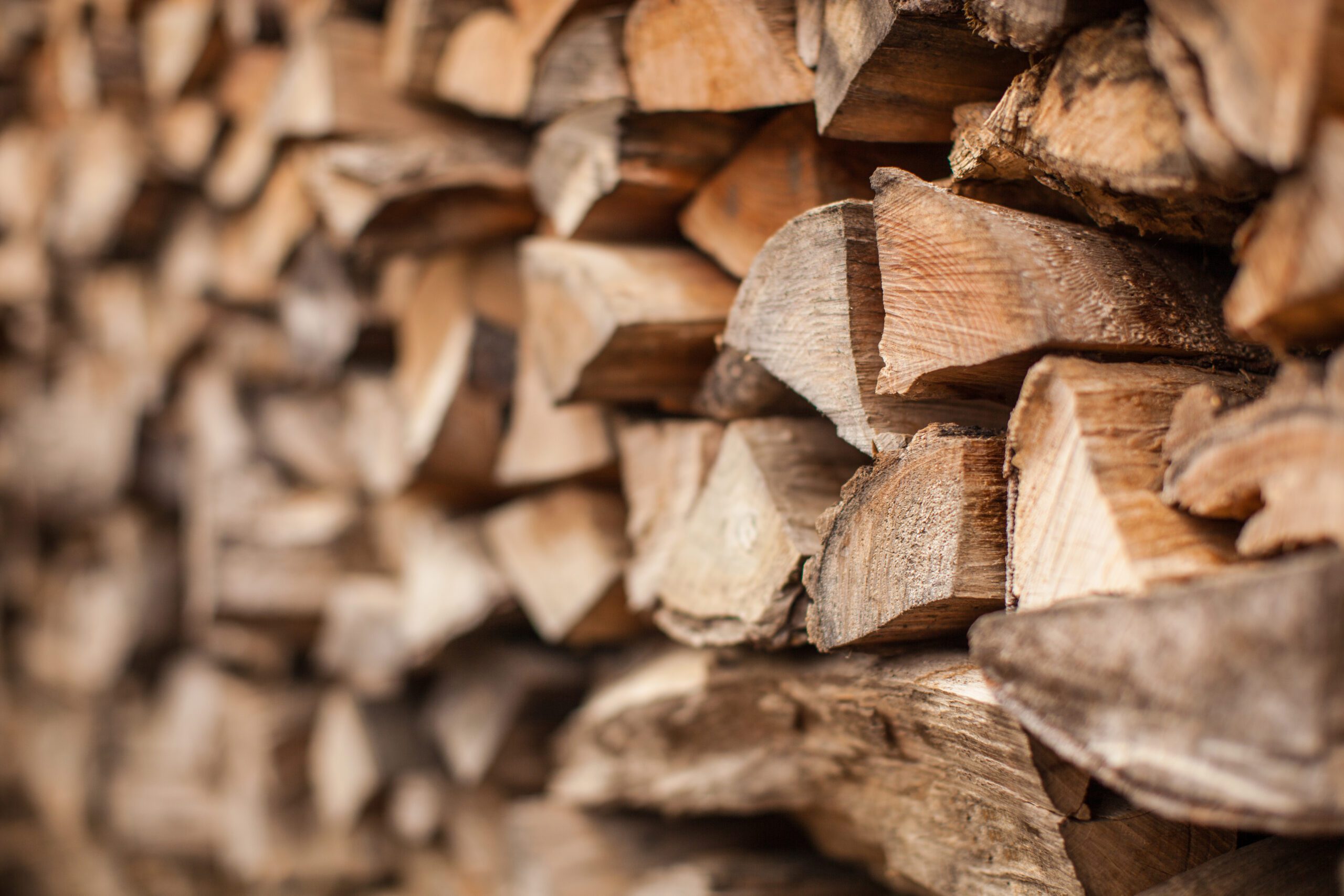 A photo of a stack of firewood where a few pieces of wood are focused and the rest of the pieces are unfocused